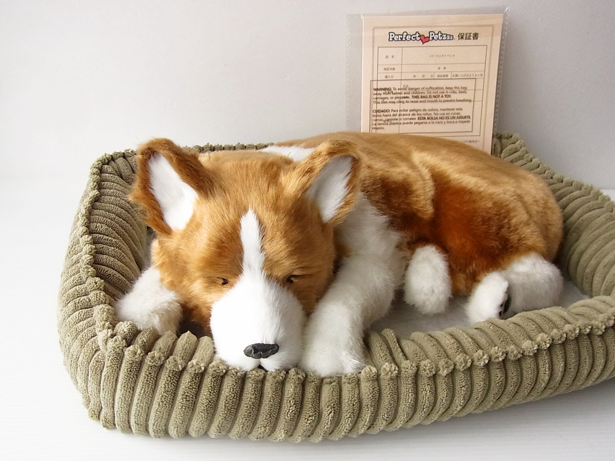 Amazon.co.jp: ニニアンドキノ パーフェクトペット (大サイズ